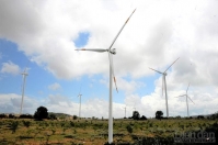 Điện gió: Triển vọng tích cực từ lợi thế chi phí phát điện