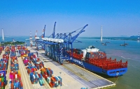 Ngành cảng và vận tải biển năm 2024: Từng bước phục hồi