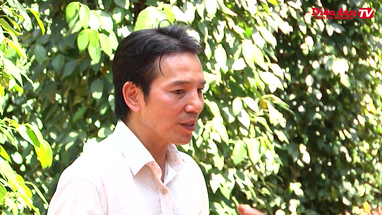 ông Lâm Ngọc Lâm - Giám đốc công ty CP Nông nghiệp Thương mại Du lịch Bầu Mây