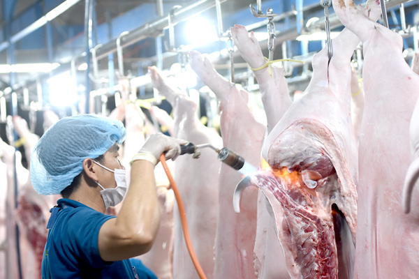 8 mặt hàng thịt lợn được điều chỉnh sẽ tăng giá từ 6.000-15.000 đồng/kg, tương ứng mức tăng 4,1%-10%.