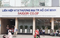 Vụ án SaiGon Co.op: Tiếp tục bắt tạm giam 2 lãnh đạo doanh nghiệp