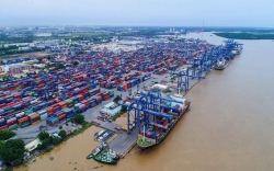 Vì sao TP.HCM đề xuất xây dựng cảng trung chuyển quốc tế tại Cần Giờ?