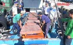 Bắt giữ tàu cá vận chuyển trái phép 60.000 lít dầu D.O