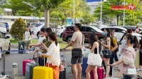 “Bát nháo” tại sân bay Tân Sơn Nhất: “Trảm” hai hãng taxi vì hành vi gian lận