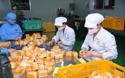 TP.HCM sẽ đầu tư khu công nghiệp y - dược rộng 338ha tại Bình Chánh