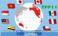 CPTPP về tổng thể có lợi cho Việt Nam