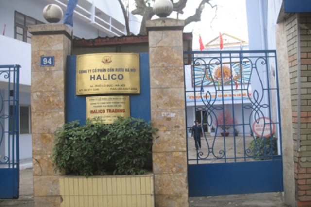 Nguyên nhân chính 'nhấn chìm' lợi nhuận Halico là doanh thu 
