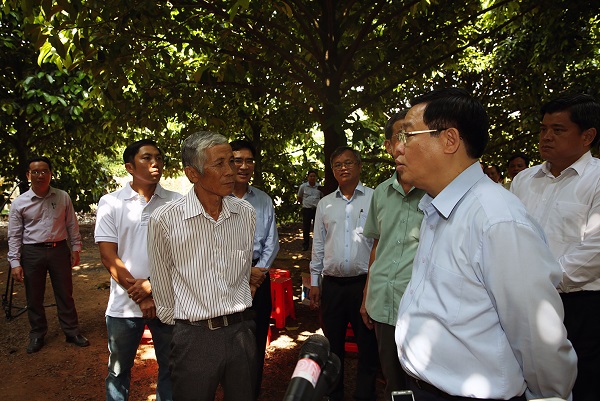 Phó Thủ tướng Vương Đình Huệ thăm mô hình kinh tế hộ gia đình của ông Nguyễn Văn Lâm, ở xã Bình An. 4 ha mẵng cầu mang lại thu nhập 1 tỷ đồng/năm cho gia đình ông. Ảnh: Thành Chung