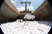 Doanh nghiệp cần thận trọng khi xuất khẩu gạo vào Philippines