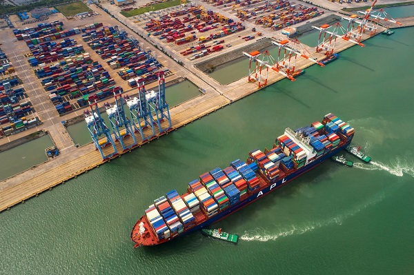 Năm 2019 tiếp tục là một năm ngành logistics có những bước phát triển mạnh mẽ. 