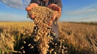 [GÓC NHÌN DOANH NGHIỆP CUỐI TUẦN] Xuất khẩu gạo để tăng giá mua cho nông dân