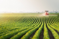 Phát triển nông nghiệp công nghệ cao: Bài 3 – Cần một cơ chế thực chất hơn cho doanh nghiệp
