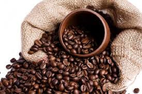Hiện nay, sản lượng xuất khẩu cà phê của Việt Nam bình quân đạt 1,5 - 1,8 triệu tấn năm, kim ngạch xuất khẩu luôn tăng trưởng trong những năm qua đạt trên 3 tỷ USD. 