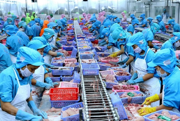 lệnh cấm nhập khẩu nói trên đi ngược lại tinh thần tự do hóa thương mại của WTO và Cộng đồng Kinh tế ASEAN mà cả Việt Nam và Campuchia là thành viên. 