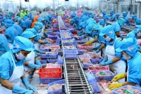 Bộ trưởng Bộ Công Thương can thiệp, tháo gỡ khó khăn cho thuỷ sản xuất khẩu sang Campuchia