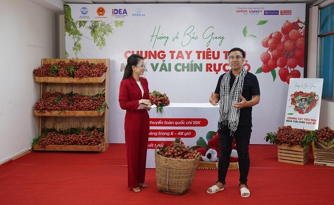 trong 90 phút sự kiện livestream cùng nghệ sĩ Quyền Linh đã có tới 161 tấn vải Bắc Giang đã được tiêu thụ.