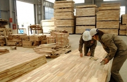 DOC công bố kết luận sơ bộ điều tra gỗ dán nhập khẩu từ Việt Nam