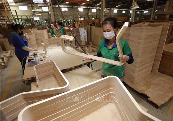 Sản xuất gỗ ván ép cong xuất khẩu tại nhà máy của Công ty TNHH Gỗ ván ép Nhật Nam, xã An Điền, huyện Bến Cát, tỉnh Bình Dương. Ảnh minh họa: Vũ Sinh/TTXVN