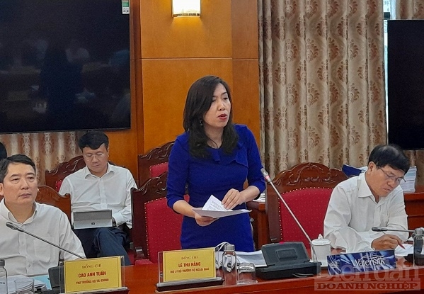 Trợ lý Bộ trưởng Bộ Ngoại giao Lê Thị Thu Hằng. Ảnh: Nguyễn Việt