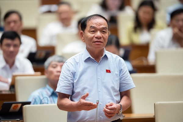 Đại biểu Quốc hội Lê Thanh Vân (Cà Mau). Ảnh: QH