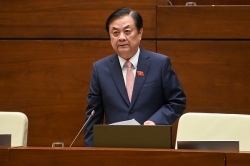 Bộ trưởng Lê Minh Hoan: Không nên dùng từ “giải cứu” nông sản