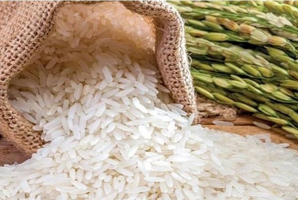 ngành gạo được 