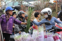 Chợ hoa Quảng Bá tấp nập hàng nghìn người dịp Tết đến