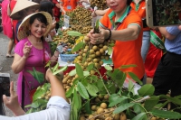 Hapro phối hợp với tỉnh Sơn La tổ chức “Tuần lễ nhãn và nông sản Sơn La năm 2018”