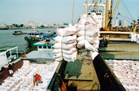 Hải quan hỏa tốc hướng dẫn mở tờ khai xuất khẩu gạo nếp