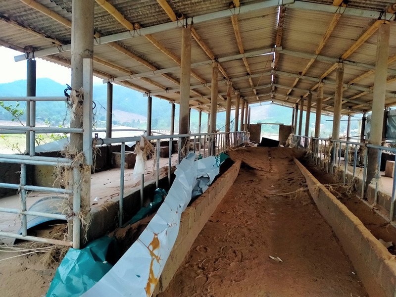 Các trang trại lớn nhỏ dọc sông Đakrông ở xã Triệu Nguyên, huyện Đakrông đều tan hoang sau mưa lũ