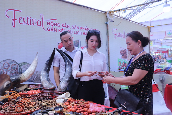 Festival được tổ chức với quy mô 220 gian hàng, trong đó 160 gian hàng làng nghề truyền thống và ẩm thực của huyện Phú Xuyên; 20 gian hàng đại diện các tỉnh, thành phố; 40 gian hàng doanh nghiệp và làng nghề của nhiều quận huyện trên địa bàn thành phố Hà Nội