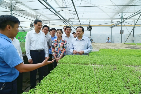 Bí thư Trung ương Đảng, Chủ tịch Ủy ban Trung ương MTTQ Việt Nam Trần Thanh Mẫn thăm mô hình sản xuất rau sạch tại Vĩnh Phúc