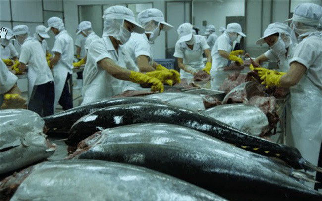 Cá Ngừ là một trong những mặt hàng giảm mạnh 18%