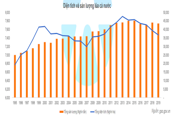Từ năm 2013 đến nay, diện tích trồng lúa cả nước có xu hướng ngày càng giảm, sản lượng lúa cũng giảm nhưng với tốc độ chậm hơn