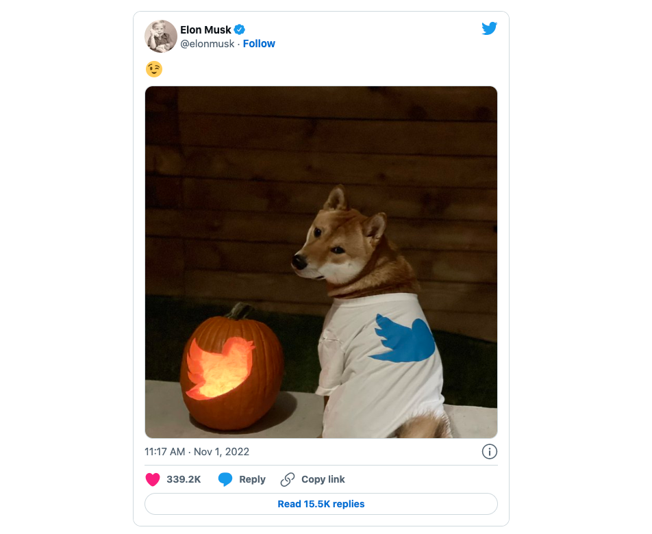 Tỷ phú Elon Musk đã tweet hình ảnh một chú chó mặc áo phông có logo Twitter, cùng quả bí ngô Halloween trên trang cá nhân của mình