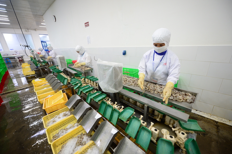 Nhật Bản là một trong những thị trường nhập khẩu lớn hàng thủy sản Việt Nam với mức tăng trưởng tốt