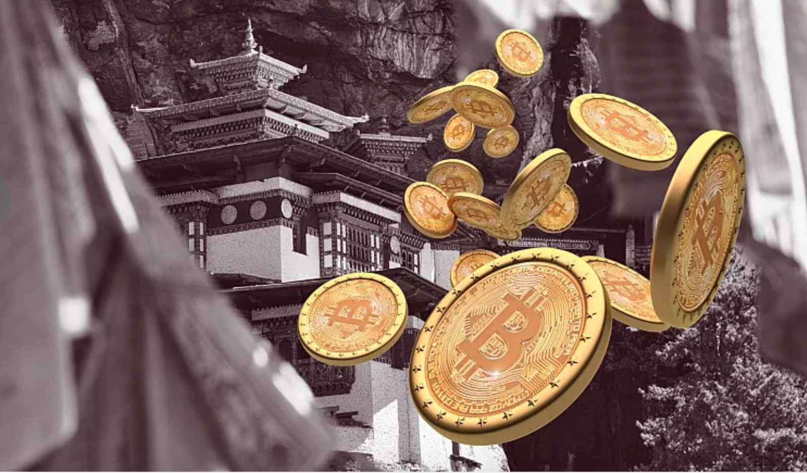 Giống như các quốc gia khác đang nghiên cứu về tiền điện tử, nhiều yếu tố kinh tế đã giải thích cho sự quan tâm của Bhutan đối với Bitcoin
