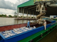 Phân bón Cà Mau chủ động giảm xuất khẩu để tập trung nguồn hàng phục vụ thị trường trong nước