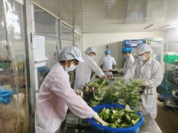 HNH food farm: Sạch từ nông trại đến bàn ăn