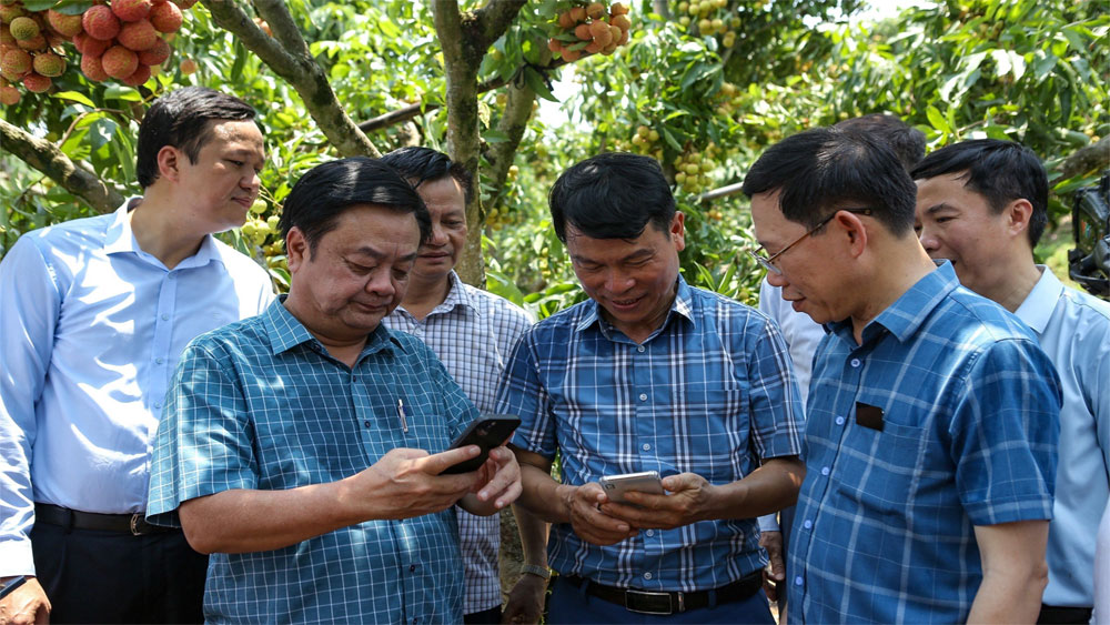 Bộ trưởng Lê Minh Hoan thăm vườn vải du lịch sinh thái và trao đổi thông tin với nhà vườn.