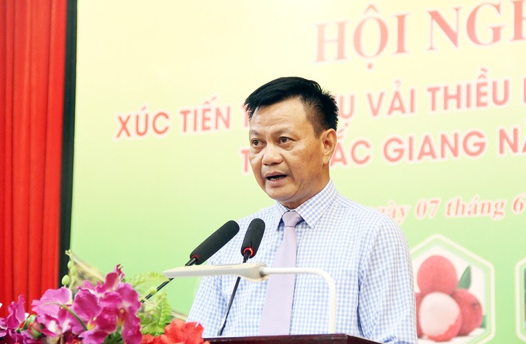 Chủ tịch UBND huyện Lục Ngạn La Văn Nam cho biết: các điều kiện phục vụ tiêu thụ đã sẵn sàng. 