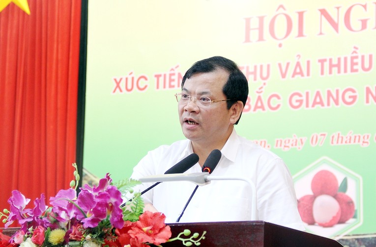 Ông Phan Thế Tuấn cho biết: Bắc Giang đã và luôn nhất quán và xuyên suốt từ chính quyền đến người dân trồng vải thiều lấy chất lượng vượt trội, đặc trưng riêng có