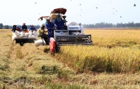Nông nghiệp Việt Nam gặp khó khi chuyển đổi sang kinh tế tuần hoàn