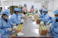 Xuất khẩu nông sản Việt Nam tăng mạnh vào thị trường tỷ dân
