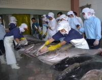Kiên định chống khai thác hải sản bất hợp pháp