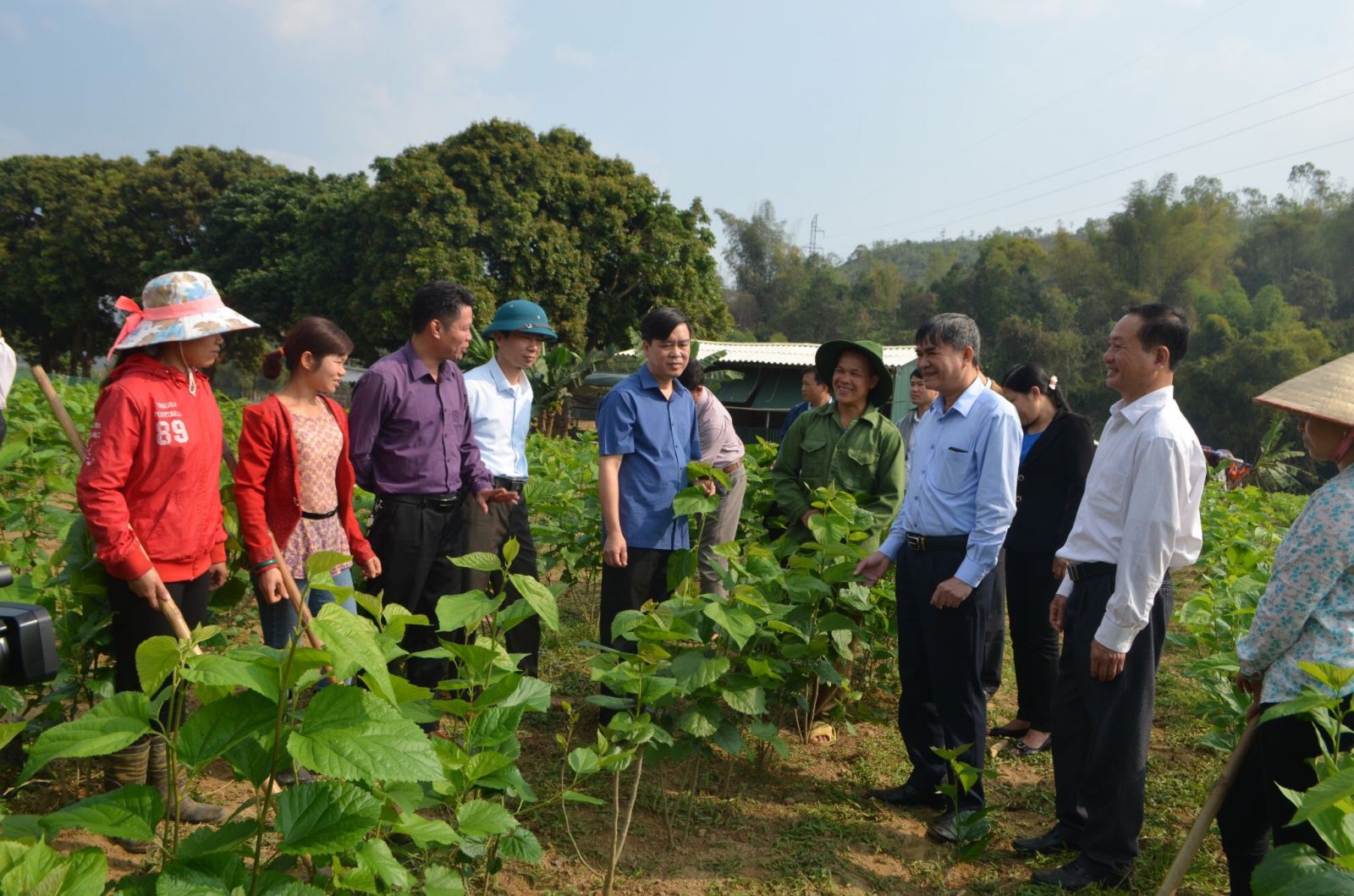 Ông Mai Mộng Tuân cùng các Lãnh đạo huyện thăm mô hình trồng dâu nuôi tằm mới.