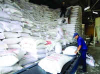 Vùng nguyên liệu “trói” hạt gạo xuất khẩu