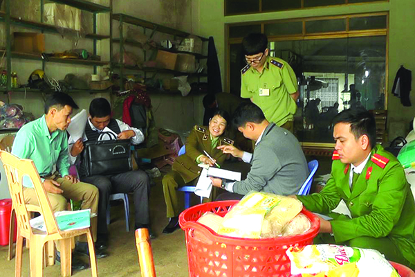 p/Đoàn kiểm tra sản xuất, kinh doanh vật tư nông nghiệp tại Bắc Giang