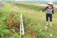 Quảng Ninh: Hỗ trợ giá đất “bèo bọt”, người dân nguy cơ trắng tay