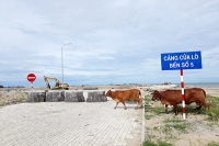Nạo vét cảng biển miền Trung loay hoay tìm bãi thải